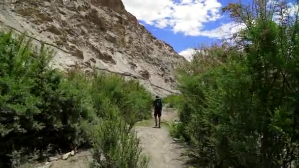 Pov Handheld Shot Man Walking Road High Green Keshes Mountains — Stock video