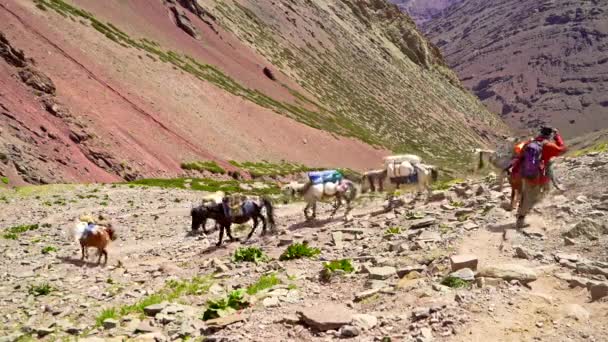 Šerpa karavana sestupující na trati v horách, jasný slunečný den jako lidé a koně na dobrodružství. 
