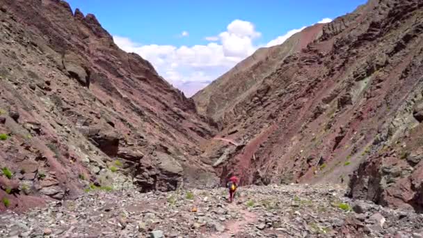 Uomo Che Cammina Una Valle Deserta Asciutta Uno Zaino Spalla — Video Stock