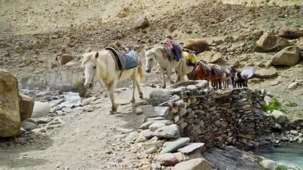 Dolly upshot as a horse sherpa caravan passing a wooden bridge in the Himalayas. 