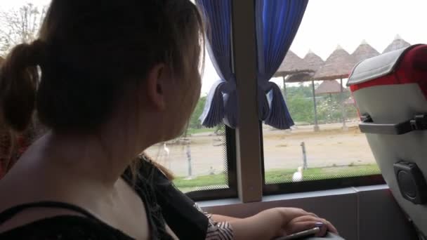 一个女孩从公共汽车的窗户看鸟类和犀牛 — 图库视频影像