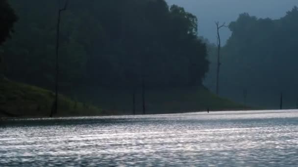 Záběry Holých Stromů Vyrůstajících Vody Národním Parku Khao Sok Thajsko — Stock video