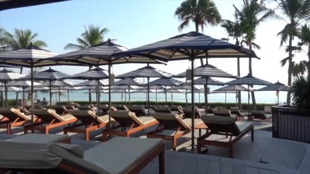 休暇のコンセプトのためにホテルリゾートのプールの周りに傘付きのベッドプール — ストック動画