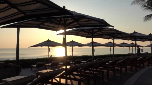 Otel Tatil Beldesinde Yüzme Havuzunda Şemsiyeli Yatak Havuzu — Stok video