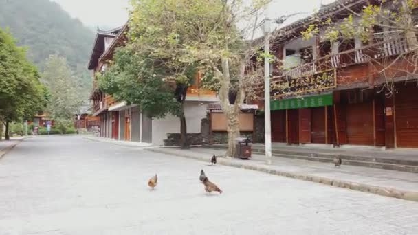 Pan Shot Dari Jalan Jalan Xijiang Qianhu Miao Desa Cina — Stok Video