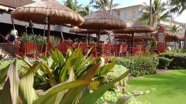 Trópusi növények nagy levelekkel a strand étterme előtt, emberek ebédelnek fa asztalokon odakint, Hawaii