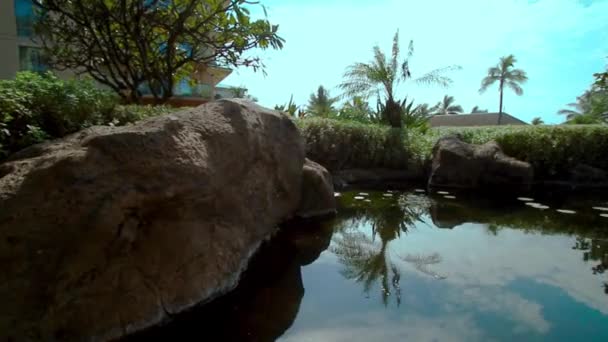 Hawaii Üdülőhely Békés Nyugodt Parkja Tavakkal Mészkősziklákkal Trópusi Növényekkel Magas — Stock videók