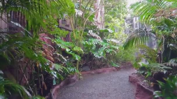 Een Vast Uitzicht Wandelen Het Park Van Palma Aquarium Mallorca — Stockvideo