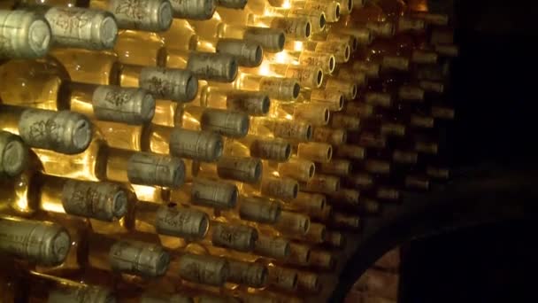 Tilt from bottom to top of hundreds of dusty bottles of wine in a wine cellar