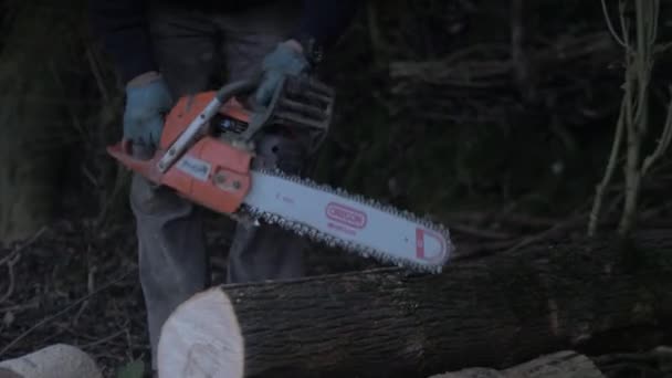 Homem Empurra Logs Para Cortar Com Segurança Com Motosserra — Vídeo de Stock
