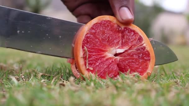 Skära Grapefrukt Med Kökskniv — Stockvideo