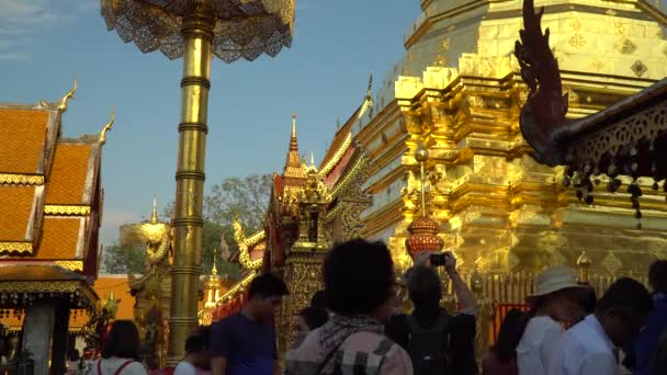 Doi Suthep Temple Vackra Chiang Mai Thailand — Stockvideo
