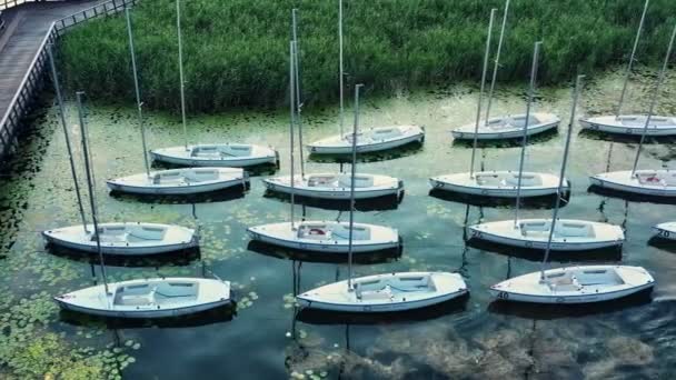 Scénický Pohled Několik Plachetnic Zakotvených Blízkosti Břehu Jezera — Stock video