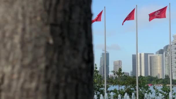 Обнаружение Красных Флагов Развевающихся Ветру Горизонтом Города Позади Ясный Голубой — стоковое видео
