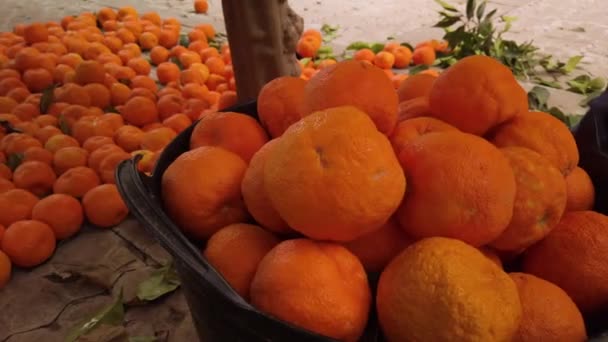 Apelsiner Hink Med Massor Apelsiner Marken Bakgrunden Closeup — Stockvideo