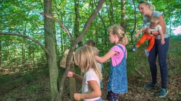 Little Girls Forest — Stock Video