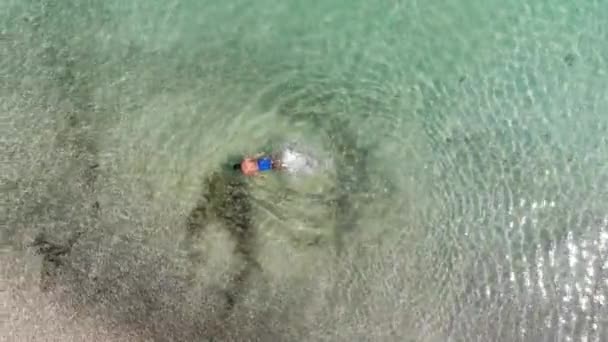 Panama Février Drone Pousse Contadora Island Nager Entre Les Poissons — Video