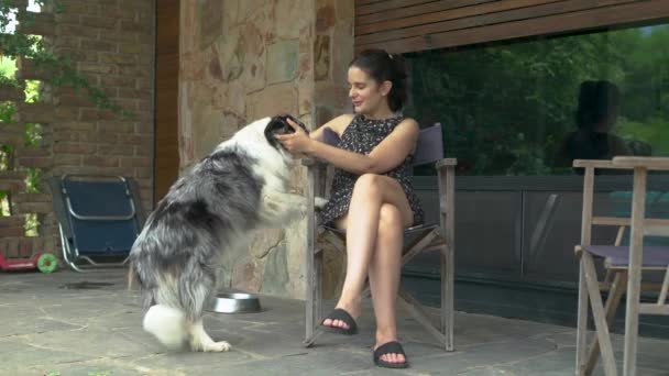 Cane Che Gioca Scodinzola Coda Con Suo Proprietario Casa Colpo — Video Stock