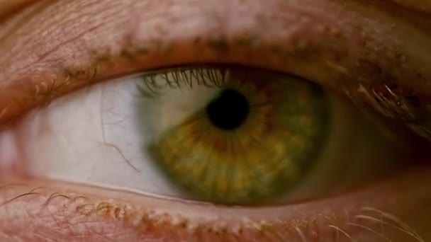 Primer Plano Apertura Enfoque Los Ojos Color Verde Vibrante — Vídeos de Stock