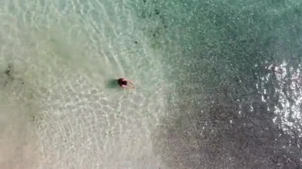 Panama Februárban Drón Contadora Island Úszás Között Halak Elfog Egy — Stock videók