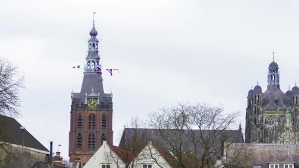 Hollandiai Hertogenbosch Város Látképének Időeltolódása Katedrális Tornyai Előtti Pásztázás — Stock videók