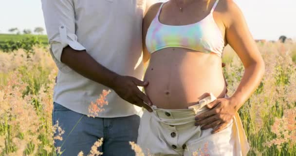 Papás Primerizos Paseando Por Campo Florido Para Relajarse Esperar Bebé — Vídeos de Stock