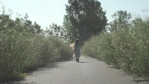 Enfant Fille Marche Sur Chemin Fleur Soleil Portant Des Ailes — Video