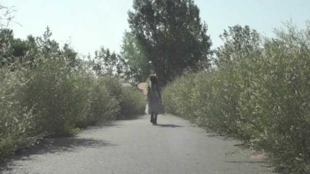 Niña Camina Camino Las Flores Sol Usando Alas Hadas Marco — Vídeos de Stock
