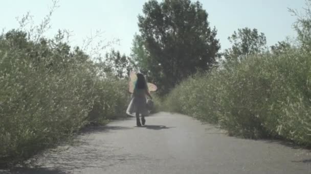 子供の女の子は太陽の下で妖精の翼を身に着けている花のパス上を歩くワイドフレーム子供は遅い動きで以下のカメラとしてカメラから離れて歩く — ストック動画