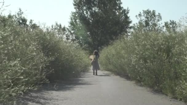 子供の女の子は太陽の下で妖精の翼を身に着けている花のパス上を歩くワイドフレーム子供は遅い動きで以下のカメラとしてカメラから離れて歩く — ストック動画