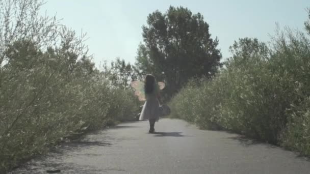 Niña Camina Camino Las Flores Sol Usando Alas Hadas Marco — Vídeos de Stock