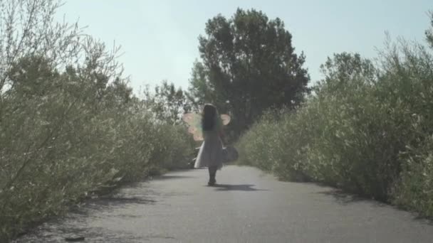 Gyermek lány sétál a virágos úton a nap visel tündér szárnyak széles keret gyermek elsétál a kamera, mint a kamera követi a lassú mozgás