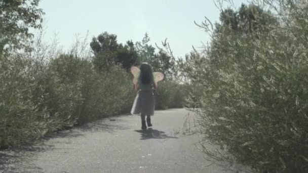 小女孩穿着仙女翅膀在阳光下走着走着走着 孩子们从相机前走着 相机慢镜头跟在后面 — 图库视频影像