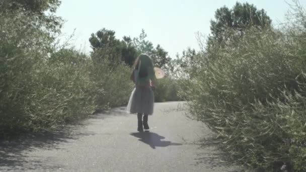 Criança Menina Caminha Caminho Flor Sol Vestindo Asas Fadas Criança — Vídeo de Stock