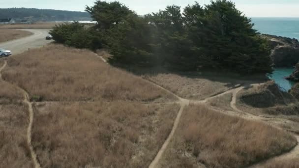 Despegue Drones Por Padre Bebé — Vídeo de stock