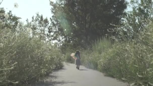 Çocuk Kız Peri Kanatları Takarak Yaban Çiçeği Yolunda Yürüyor Yüzünü — Stok video