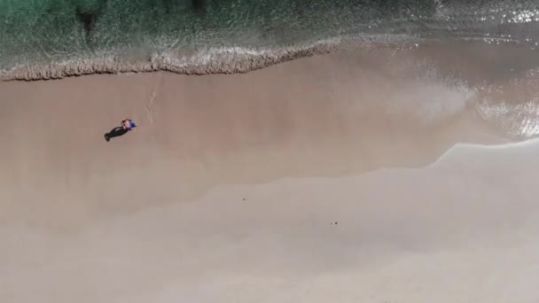 2月のパナマは 無人機で捕獲した魚の間を泳いでContadora島を撮影します 背中の点は小さな魚で — ストック動画