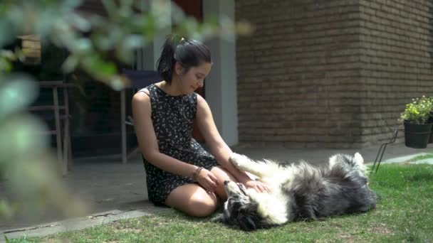 Jeune Fille Assis Jouer Avec Chien Heureux Allongé Sur Herbe — Video