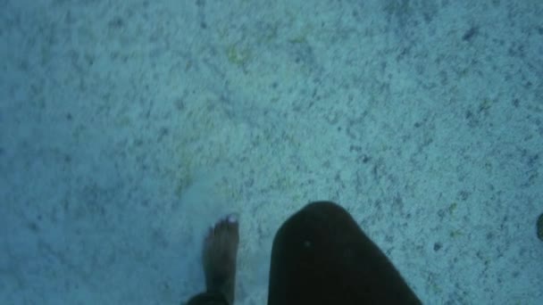 Slowmotion View Female Legs Walking Seafloor — Stock Video
