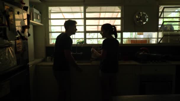 Silhouettes Boyfriend Girlfriend Arguing Fighting Kitchen — Stock Video