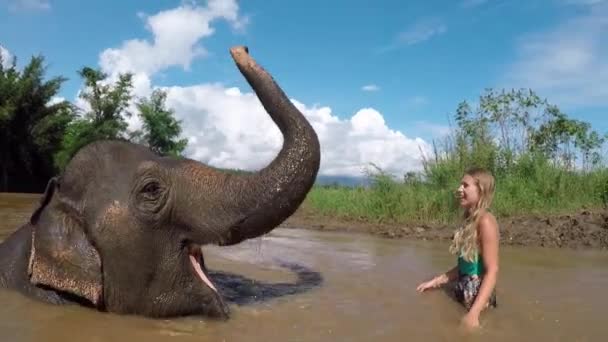 Mädchen Schwimmt Mit Elefant Thailand — Stockvideo