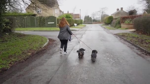Femeie Alergând Câinii Doi Dachshund Jurul Unui Cartier Rural Din — Videoclip de stoc