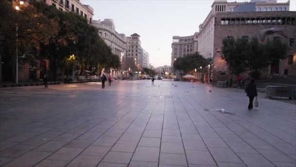 Soluppgång Promenad Gatorna Barcelona Medan Fåglar Flyger Runt — Stockvideo