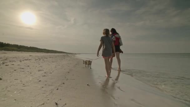 妈妈背着背包走在空旷的海滩上 带着小女儿和奇瓦瓦犬在黄金时段散步 波罗的海 稳定号 — 图库视频影像