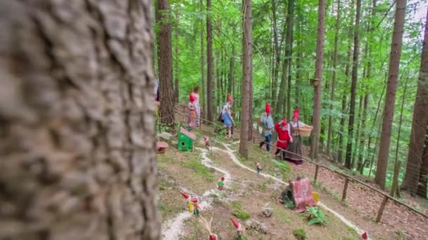 Děti Dospělí Oblečení Jako Skřítci Procházejí Lesem Slovinsku — Stock video