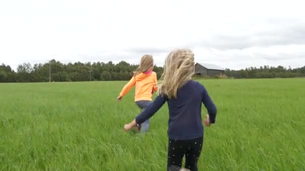 Hermanas Corriendo Campo Hierba Paisaje Rural — Vídeo de stock