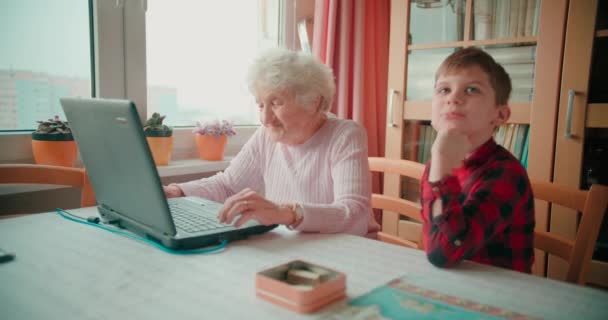 Boy Teaches Grandmother How Use Laptop Internet — Stock Video