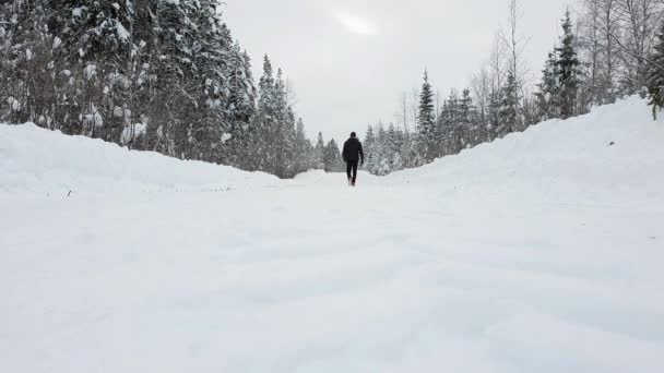 Mann Von Hinten Gesehen Wie Allein Auf Schneebedecktem Waldweg Geht — Stockvideo