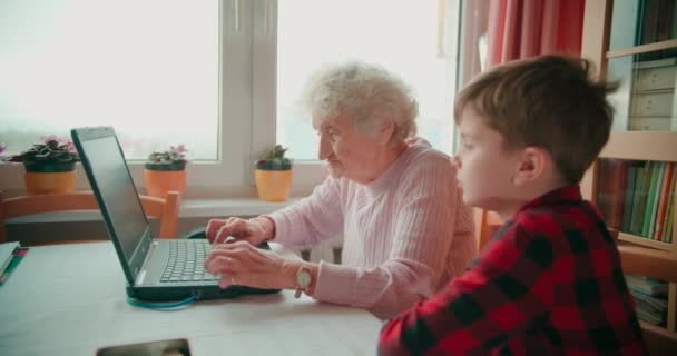 祖母と若い男の子がノートパソコンの前に座って一緒に学びます — ストック動画