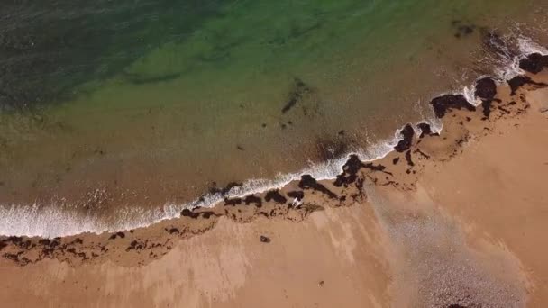 砂浜の海岸でゴミを拾う女性の鳥の目の空中ビューを登る — ストック動画